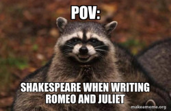 Evil Plotting Raccoon