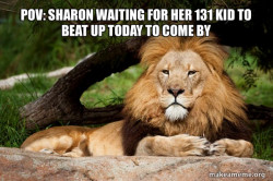 Contemplative Lion