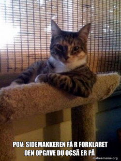 The Most Interesting Cat in the World