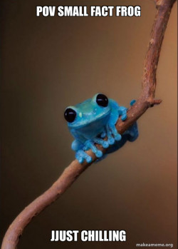 Small Fact Frog
