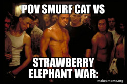 Fight Club