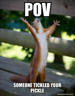 Happy Squirrel