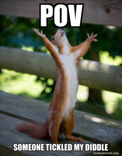 Happy Squirrel
