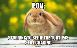 Regretful Rabbit