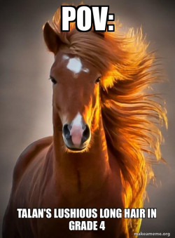 Ridiculously photogenic horse