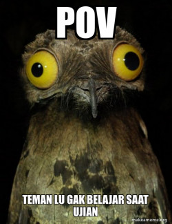 Weird Stuff I do Potoo