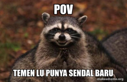 Evil Plotting Raccoon