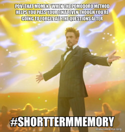 Tony Stark Success