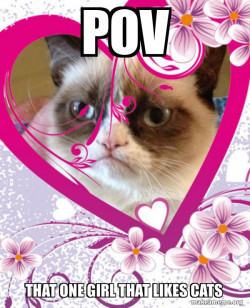Grumpy cat Valentines Day