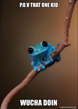 Small Fact Frog