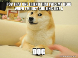 Doge