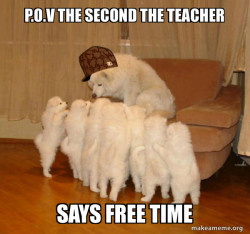 Scumbag Storytelling Dog