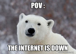 Popular Opinion Polar Bear