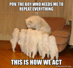 Storytelling Dog