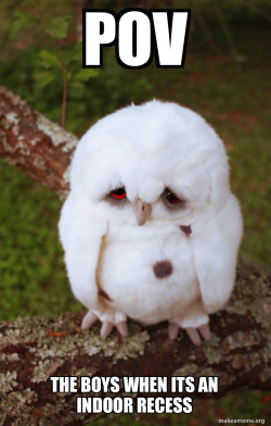 Sad Owl