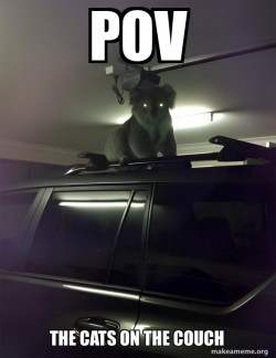 Drop Bear