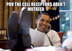 Happy Obama Meme