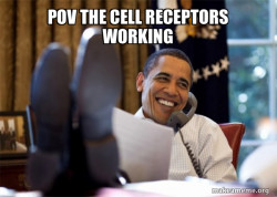 Happy Obama Meme