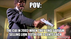 Samuel L. Jackson Say What
