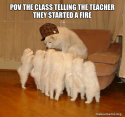 Scumbag Storytelling Dog