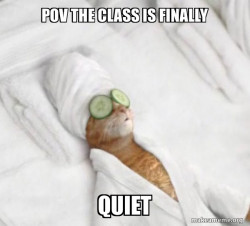 Pampered Cat Meme