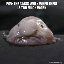 Blobfish