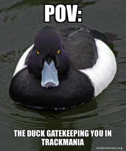 Revenge Duck ( Angry Advice Duck )