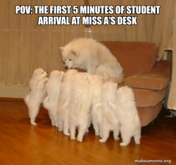 Storytelling Dog