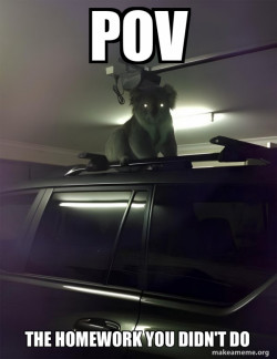 Drop Bear