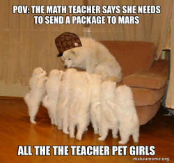 Scumbag Storytelling Dog