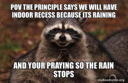Evil Plotting Raccoon
