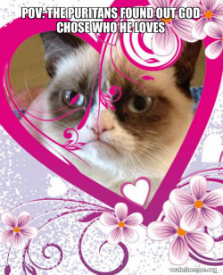 Grumpy cat Valentines Day