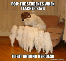 Scumbag Storytelling Dog
