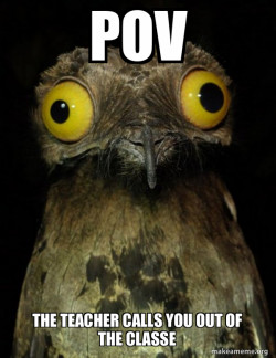Weird Stuff I do Potoo