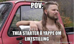 Almost Politically Correct Redneck