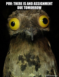 Weird Stuff I do Potoo