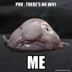 Blobfish