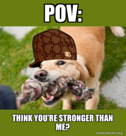 Scumbag dog
