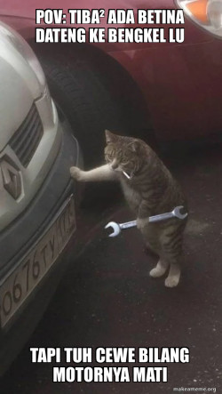 Mechanic Cat
