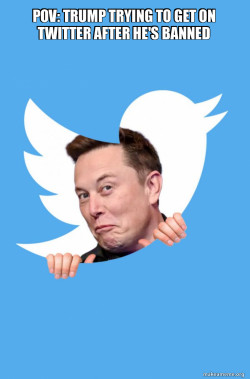 Elon Musk Twitter