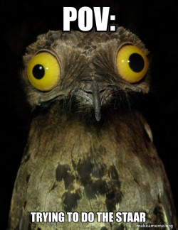 Weird Stuff I do Potoo