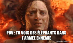 Frodo it's over it's done