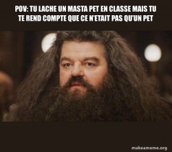 Hagrid - I should not have said that