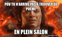 Frodo it's over it's done