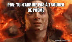 Frodo it's over it's done