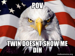 American Pride Eagle