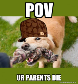 Scumbag dog