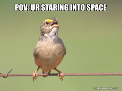 staring into the solar system