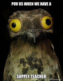 Weird Stuff I do Potoo