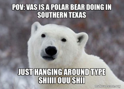 Popular Opinion Polar Bear